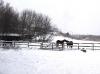 tag halter play on a snowy day